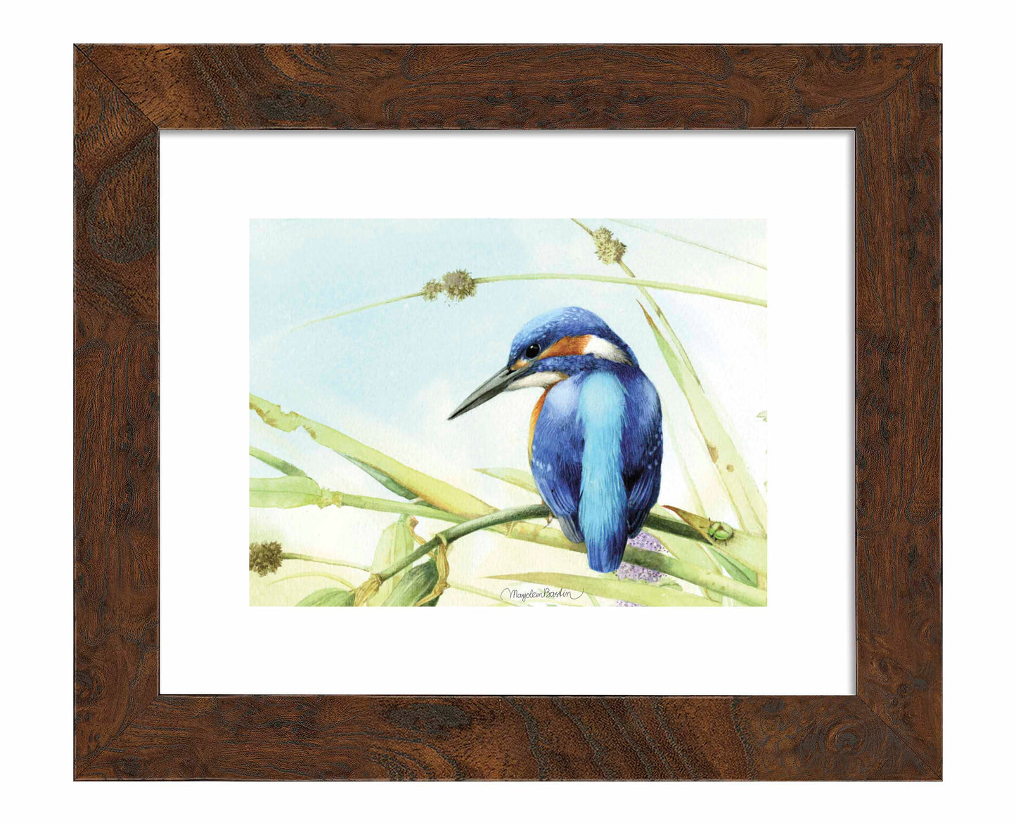 Keeping an Eye Out - Art Prints