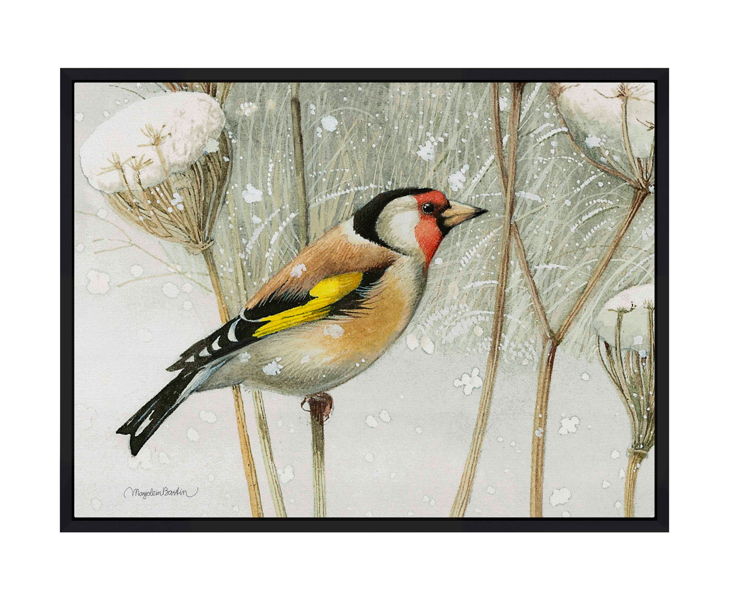 A Blast of Color - Gallery Wrapped Canvas