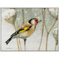 A Blast of Color - Gallery Wrapped Canvas