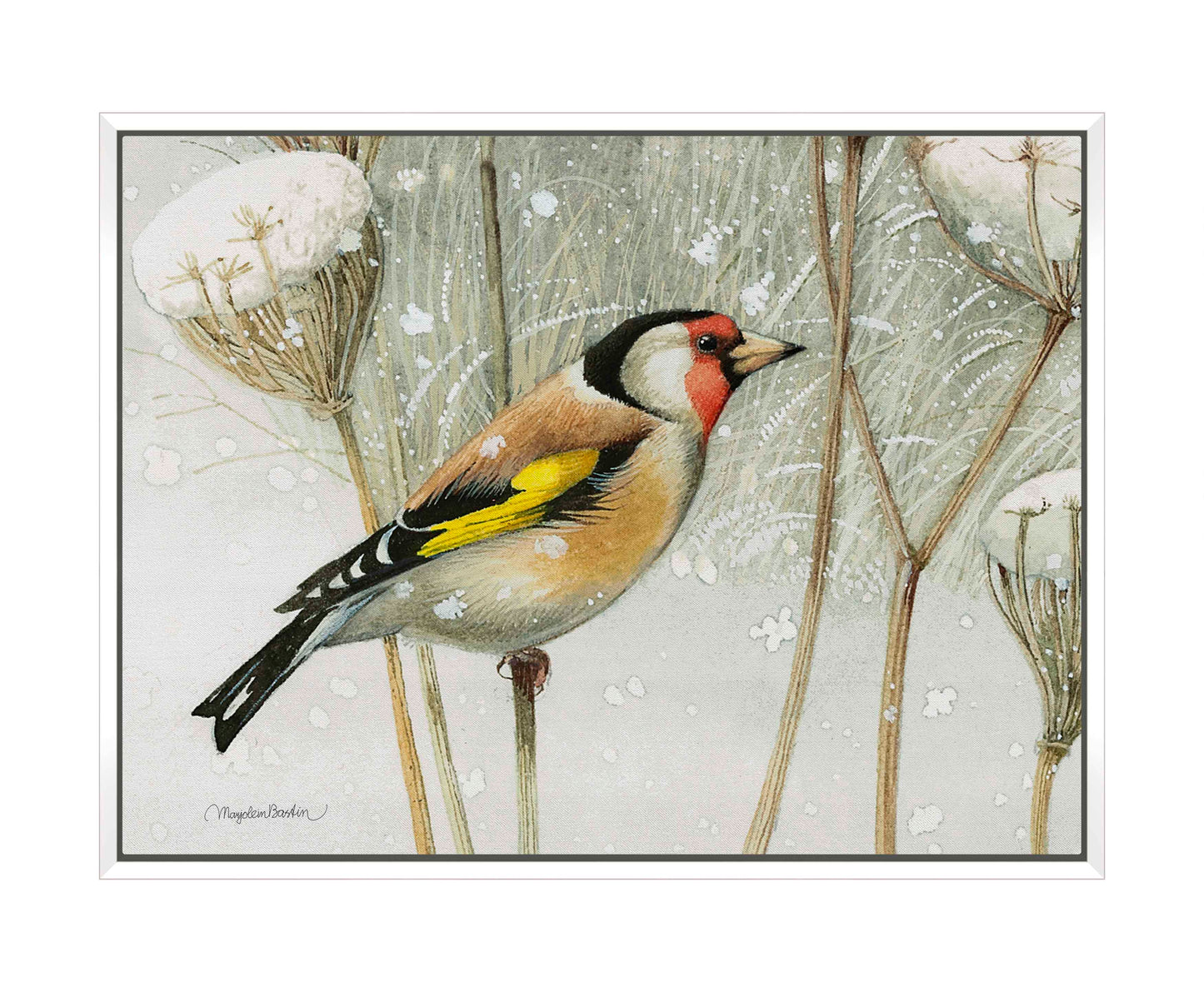 A Blast of Color - Gallery Wrapped Canvas