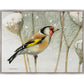 A Blast of Color - Gallery Wrapped Canvas