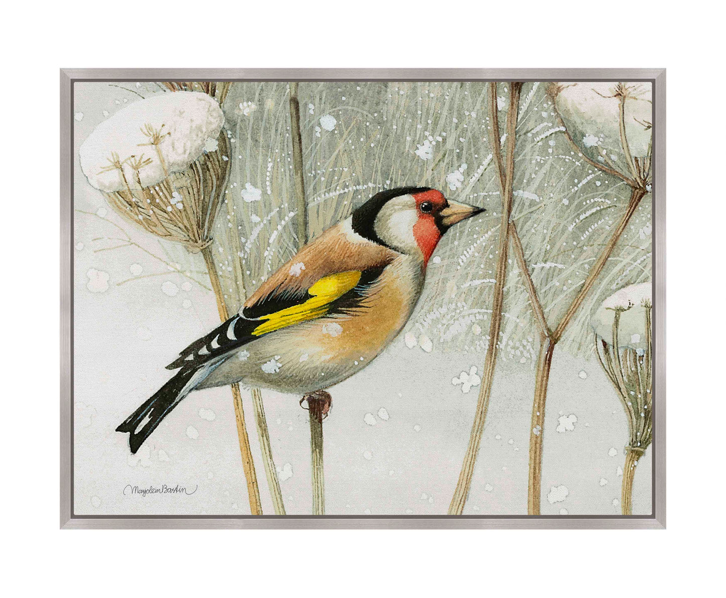 A Blast of Color - Gallery Wrapped Canvas