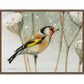 A Blast of Color - Gallery Wrapped Canvas