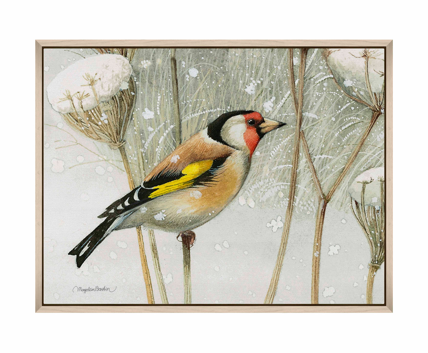 A Blast of Color - Gallery Wrapped Canvas