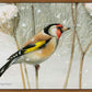 A Blast of Color - Gallery Wrapped Canvas