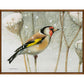 A Blast of Color - Gallery Wrapped Canvas