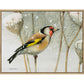 A Blast of Color - Gallery Wrapped Canvas