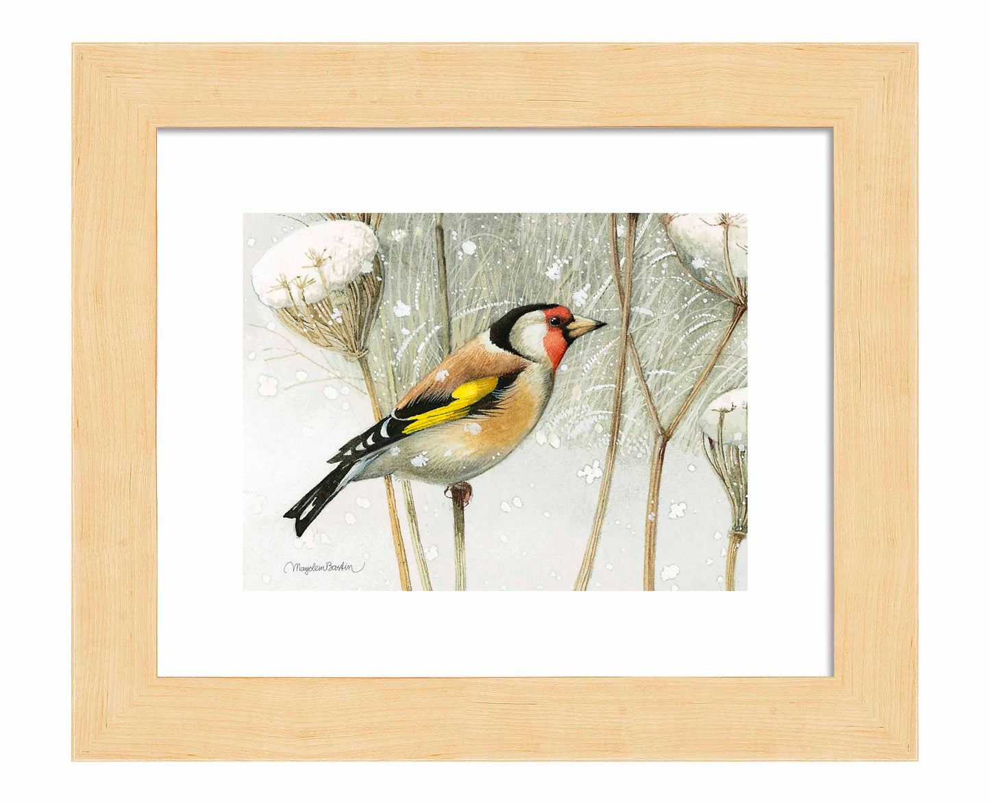 A Blast of Color - Art Prints