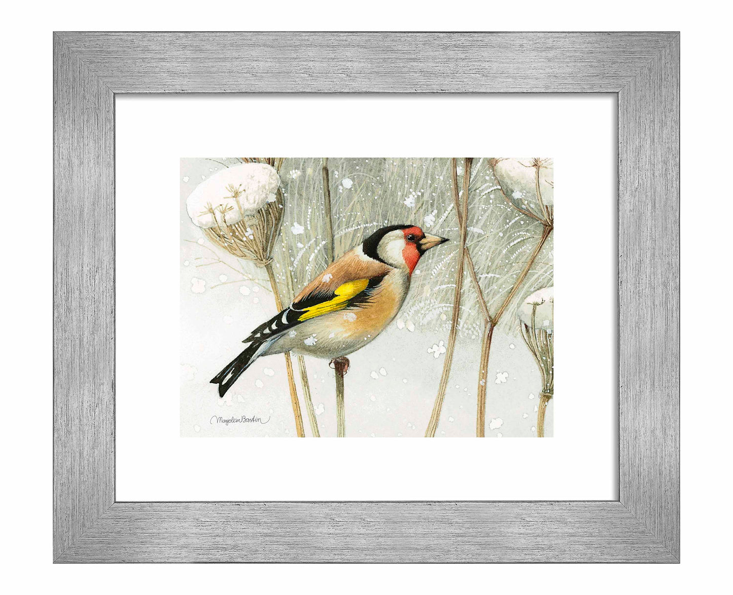 A Blast of Color - Art Prints