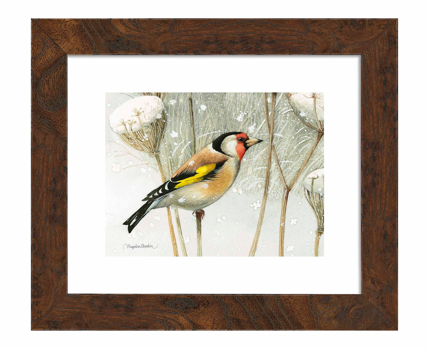 A Blast of Color - Art Prints