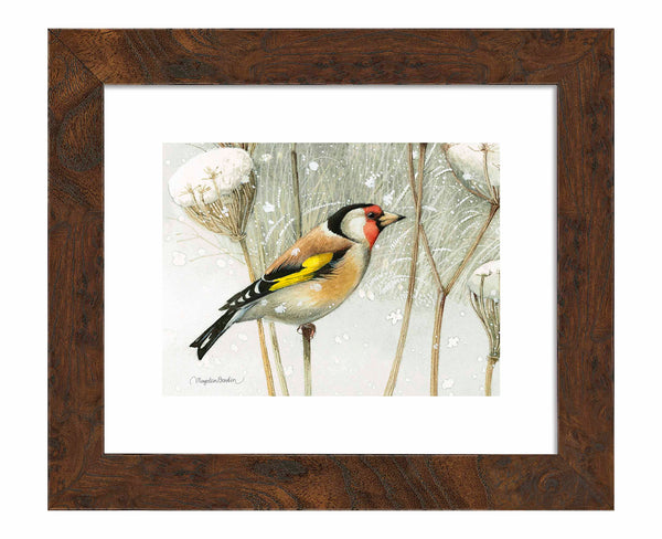 A Blast of Color - Art Prints