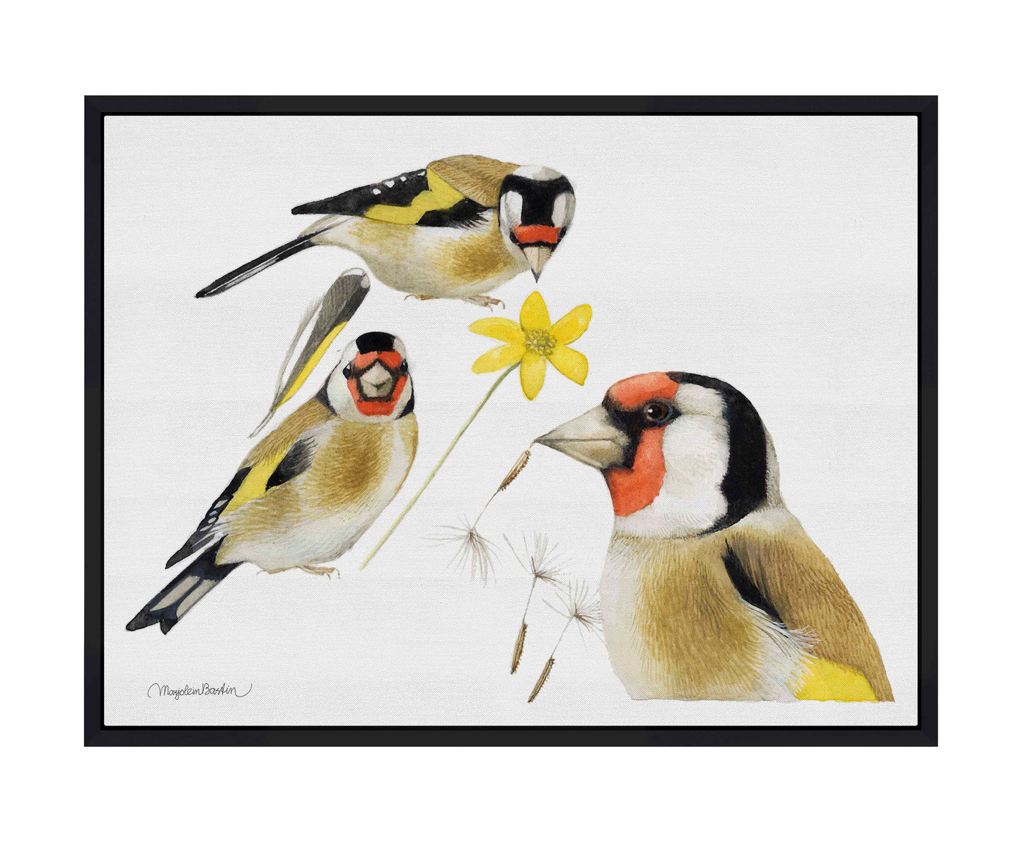 True Colors - Gallery Wrapped Canvas