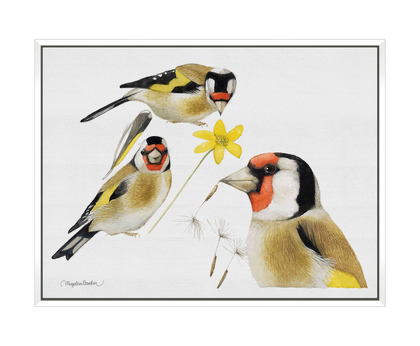 True Colors - Gallery Wrapped Canvas