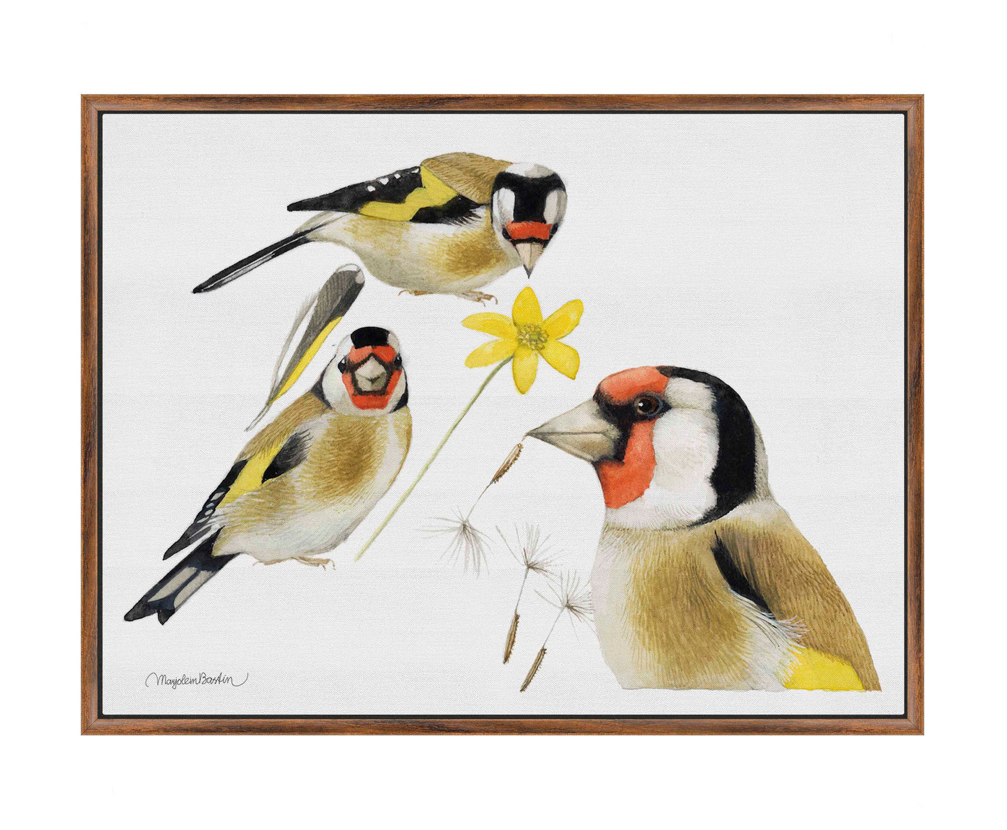 True Colors - Gallery Wrapped Canvas