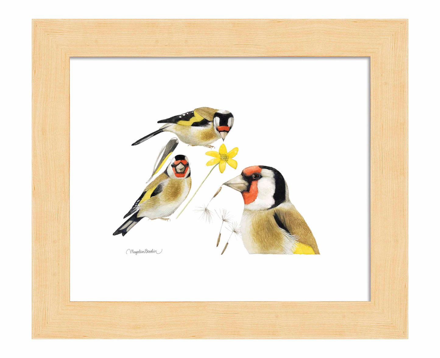 True Colors - Art Prints