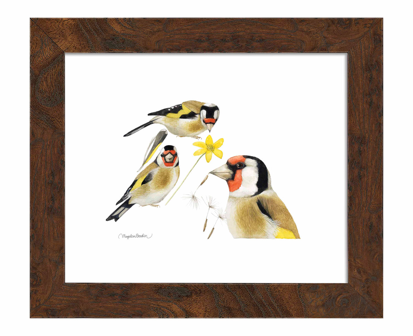 True Colors - Art Prints