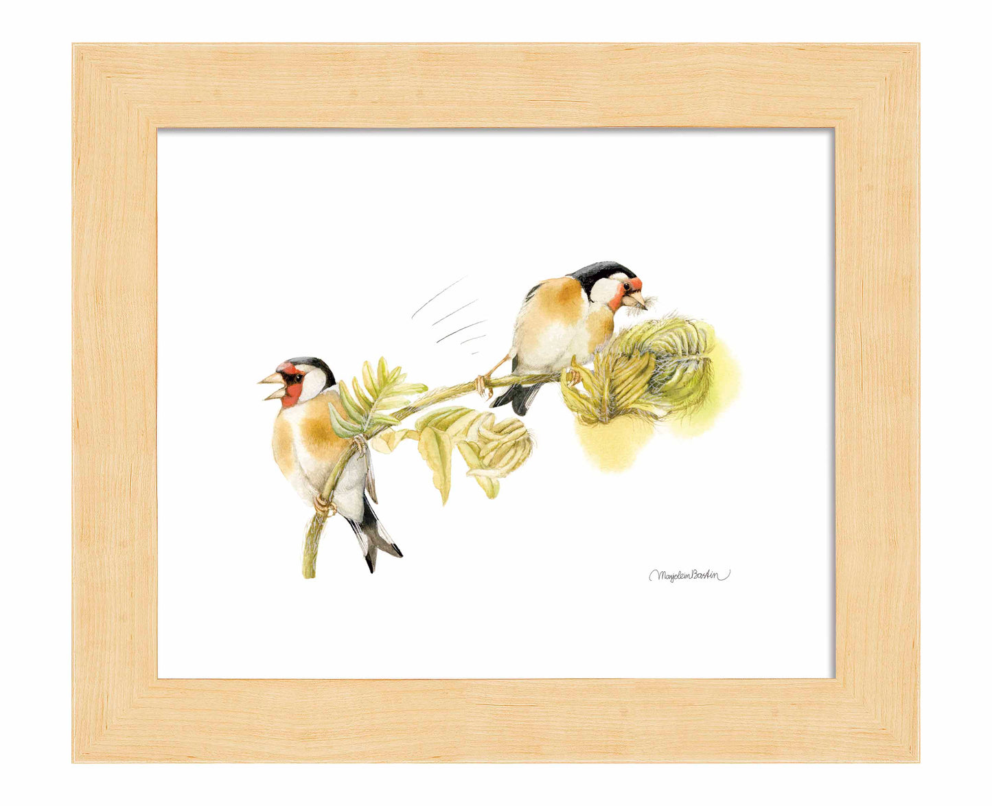 Goldfinches on Fern - Art Prints
