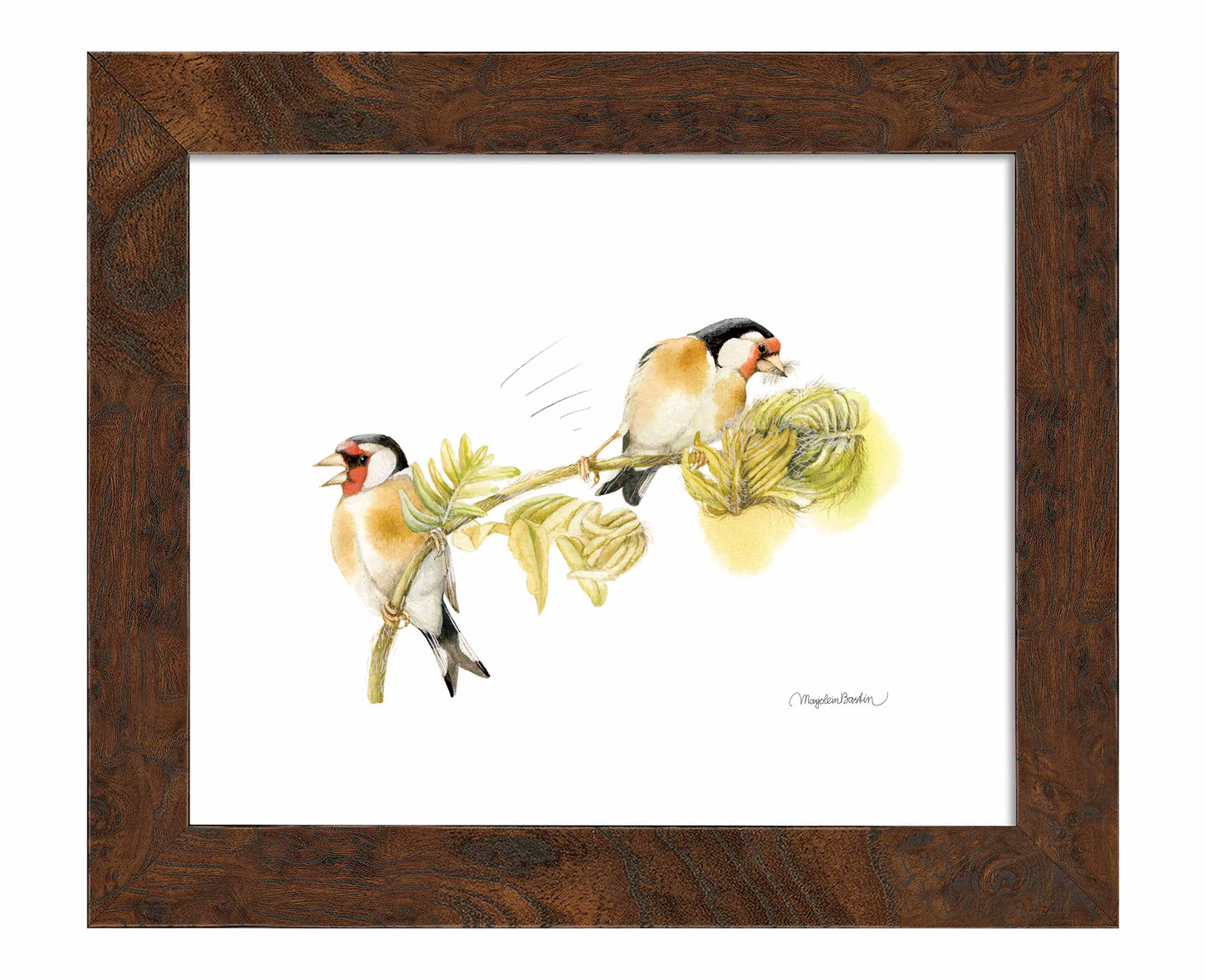 Goldfinches on Fern - Art Prints