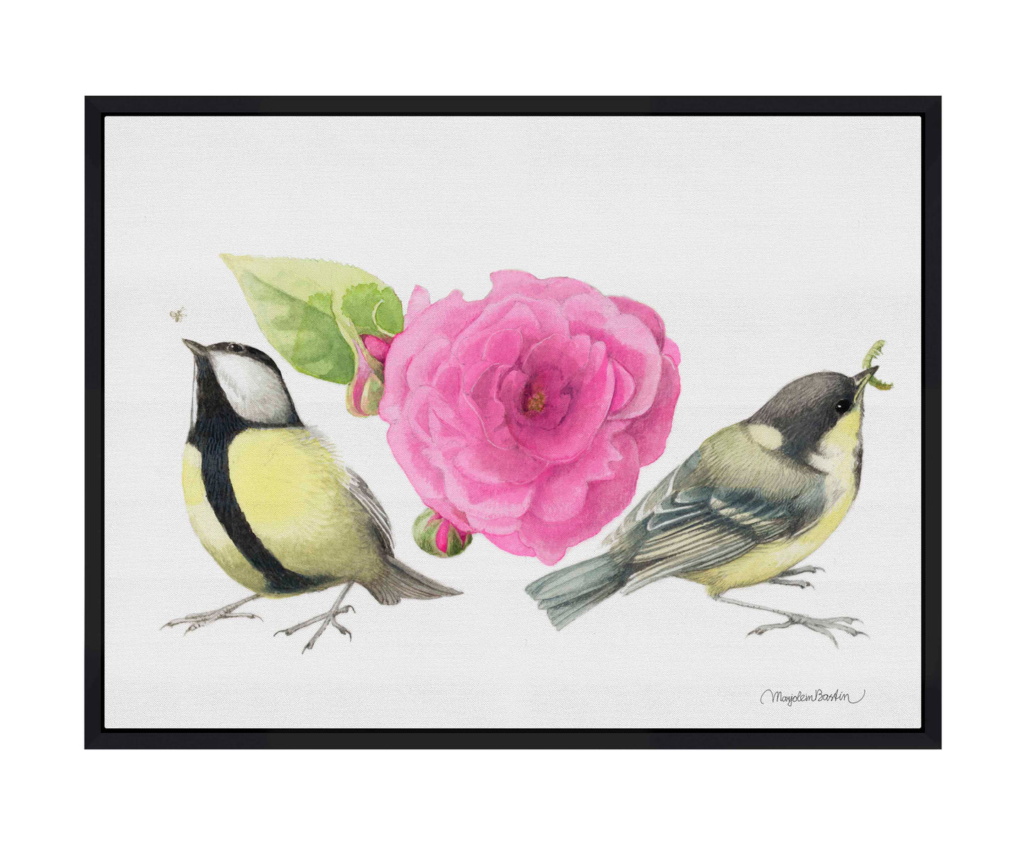 Zepherin Drouhin Rose - Gallery Wrapped Canvas