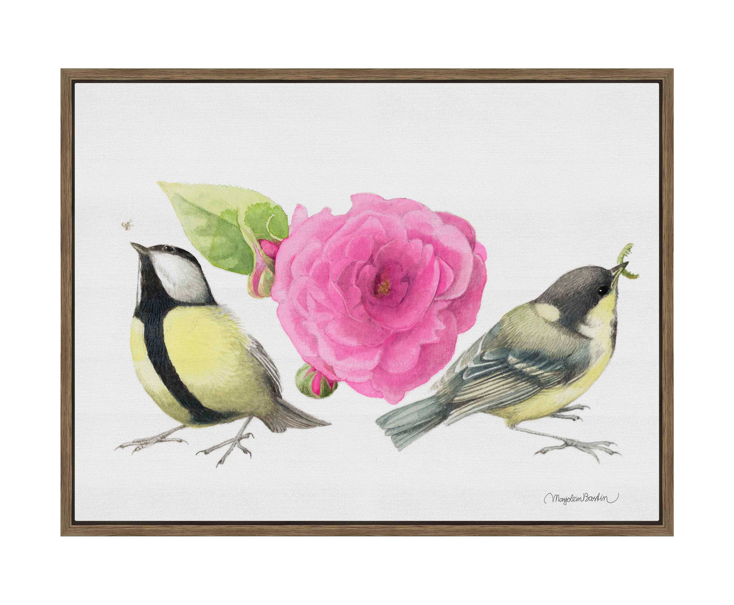 Zepherin Drouhin Rose - Gallery Wrapped Canvas