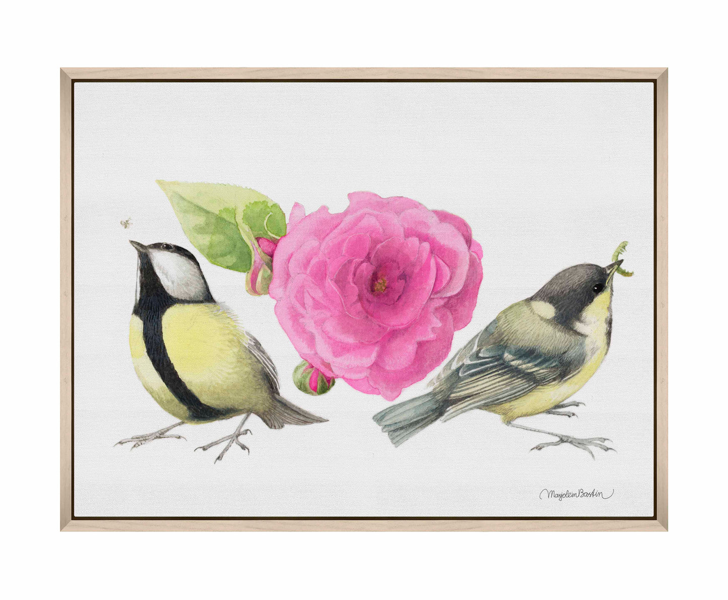 Zepherin Drouhin Rose - Gallery Wrapped Canvas