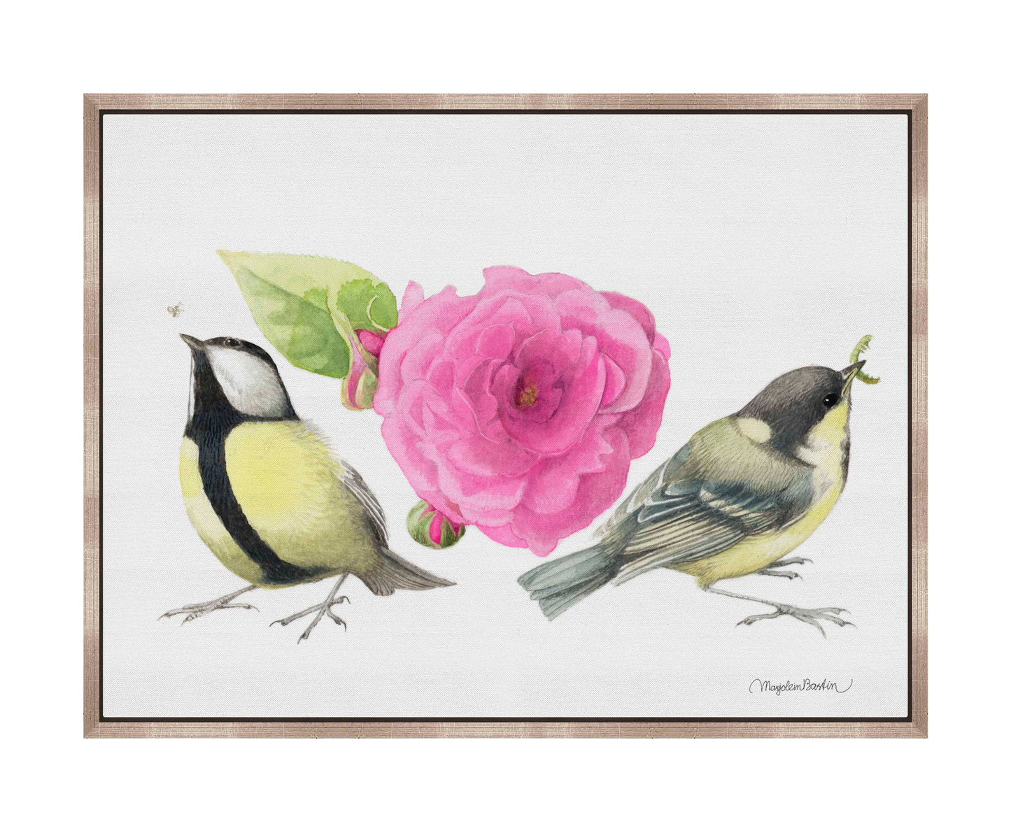 Zepherin Drouhin Rose - Gallery Wrapped Canvas