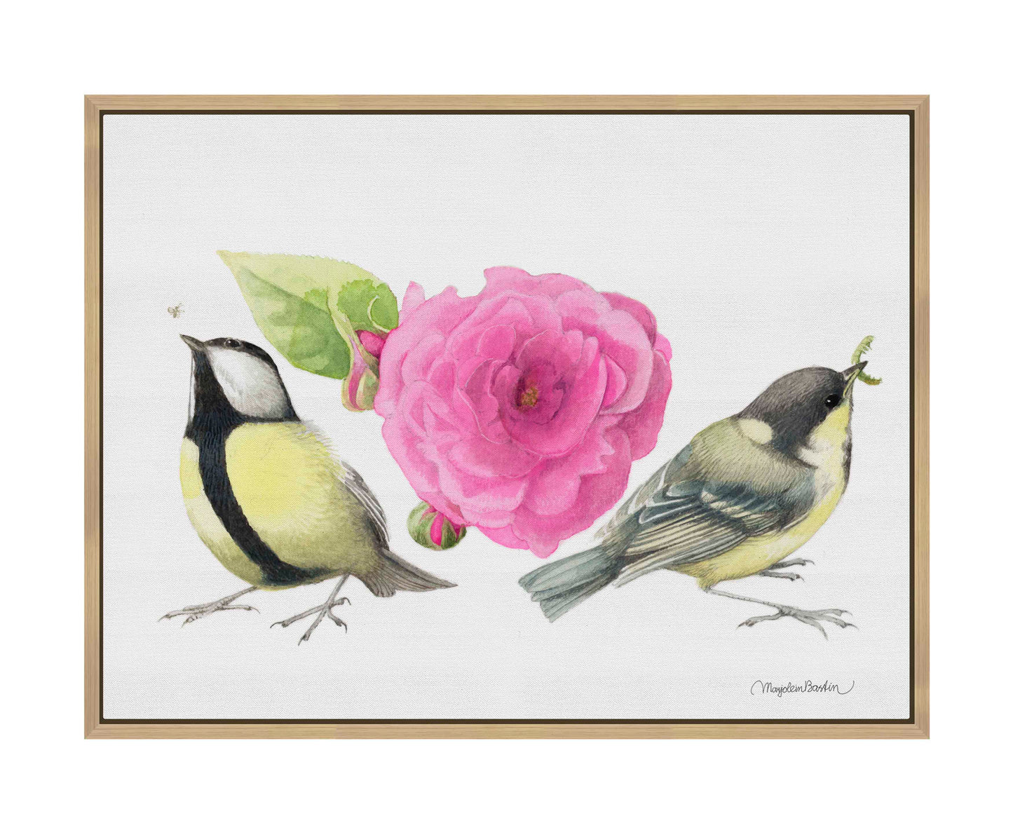 Zepherin Drouhin Rose - Gallery Wrapped Canvas