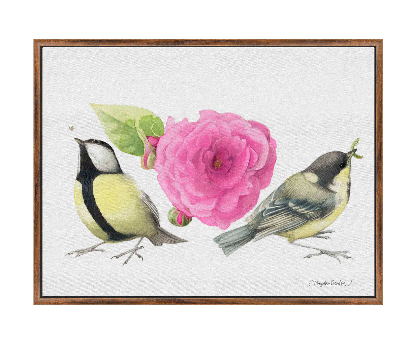 Zepherin Drouhin Rose - Gallery Wrapped Canvas