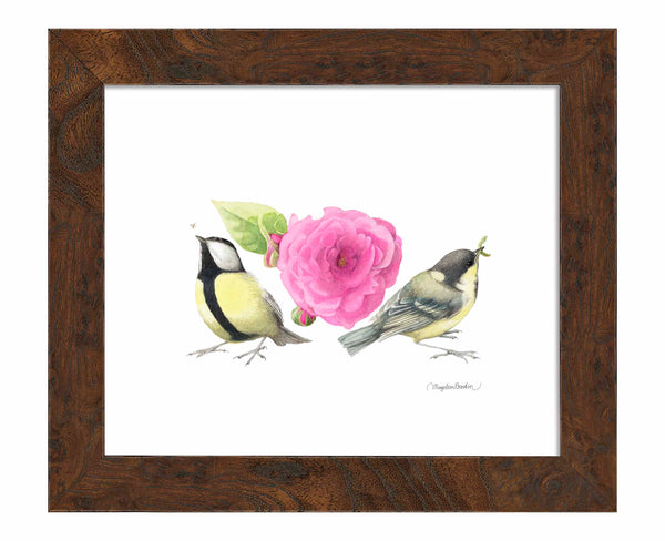 Zepherin Drouhin Rose - Art Prints