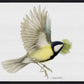 Finishing the Nest - Gallery Wrapped Canvas