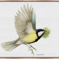 Finishing the Nest - Gallery Wrapped Canvas