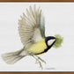 Finishing the Nest - Gallery Wrapped Canvas