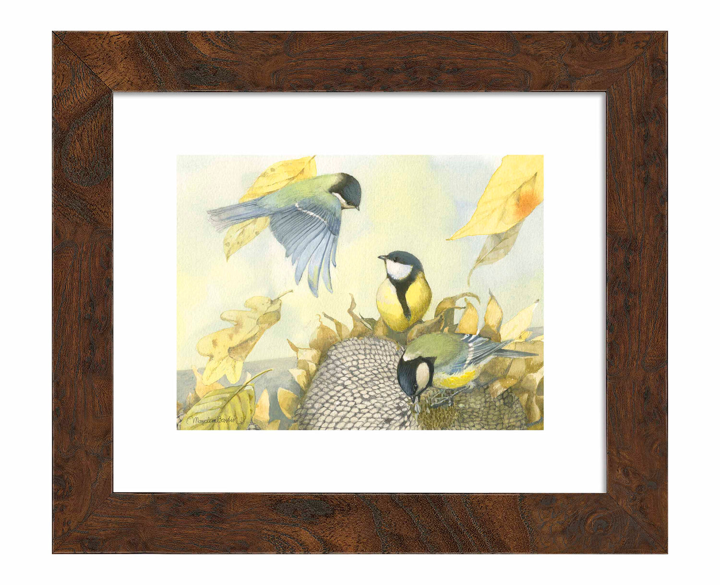 Sunflower Feast - Art Prints