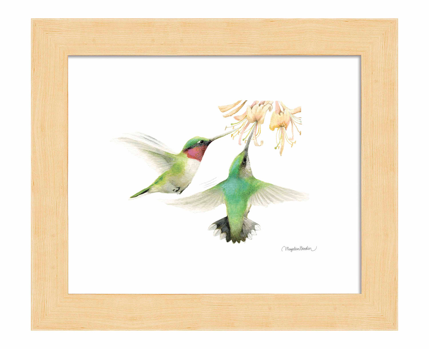 Honeysuckle Appeal - Art Prints