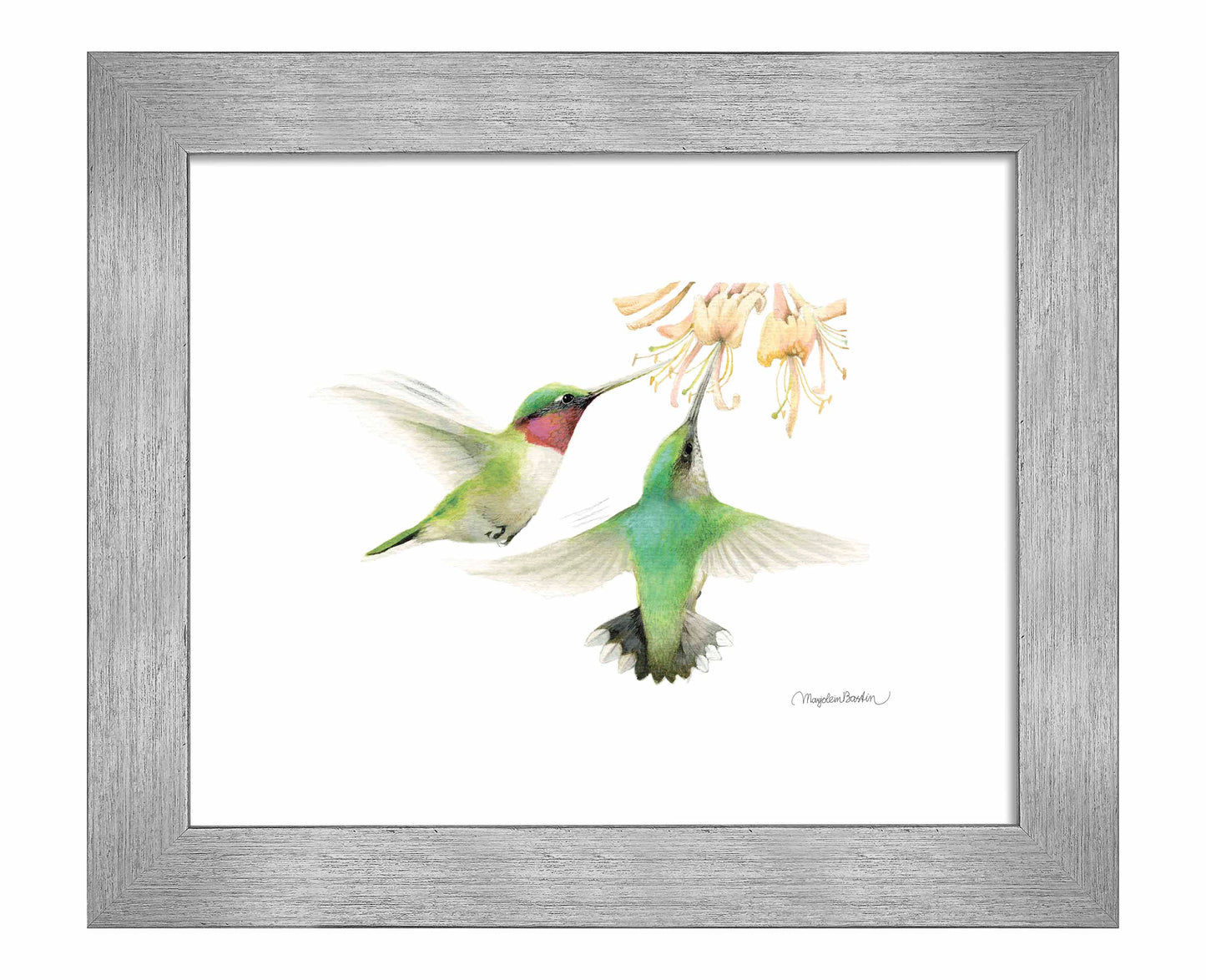 Honeysuckle Appeal - Art Prints