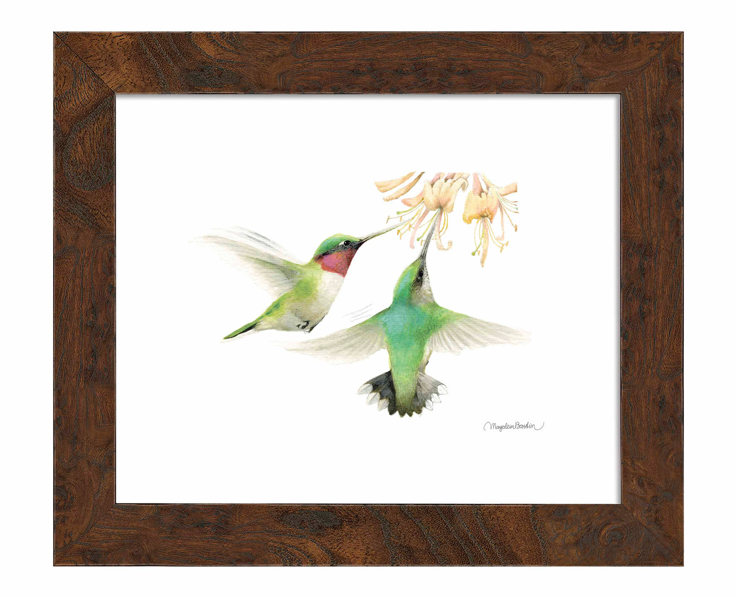 Honeysuckle Appeal - Art Prints