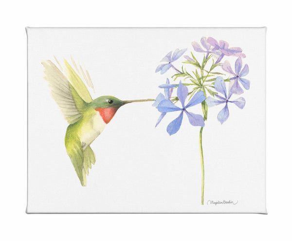 Replinishing Nectar - Gallery Wrapped Canvas