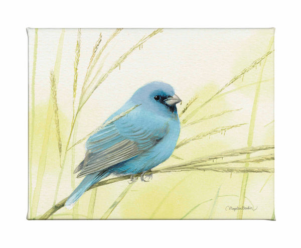 Searching for Seeds - Gallery Wrapped Canvas