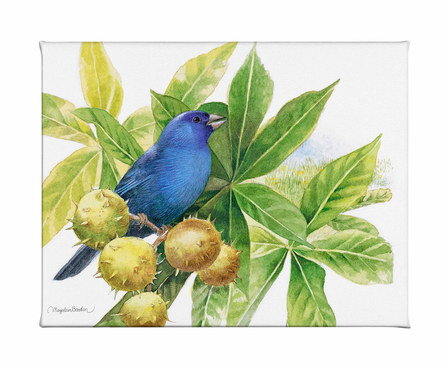 Brilliant Blue - Gallery Wrapped Canvas