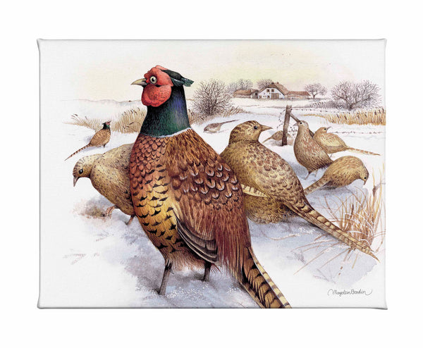 Pheasants in Snow - Gallery Wrapped Canvas
