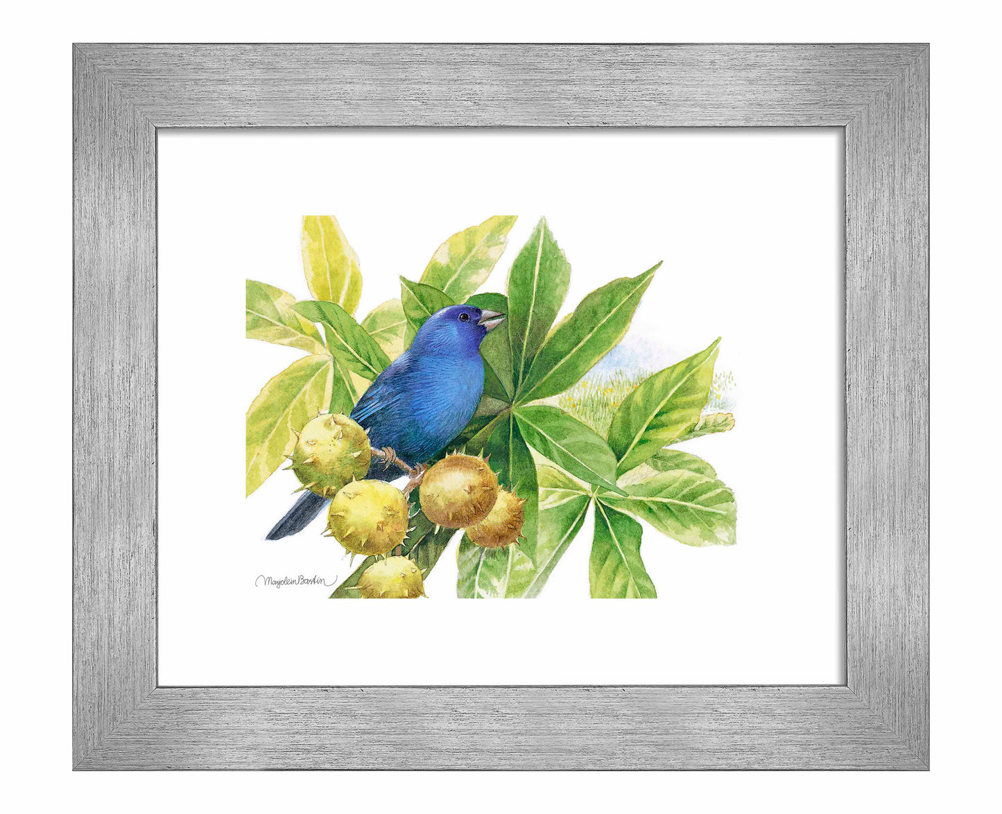 Brilliant Blue - Art Prints