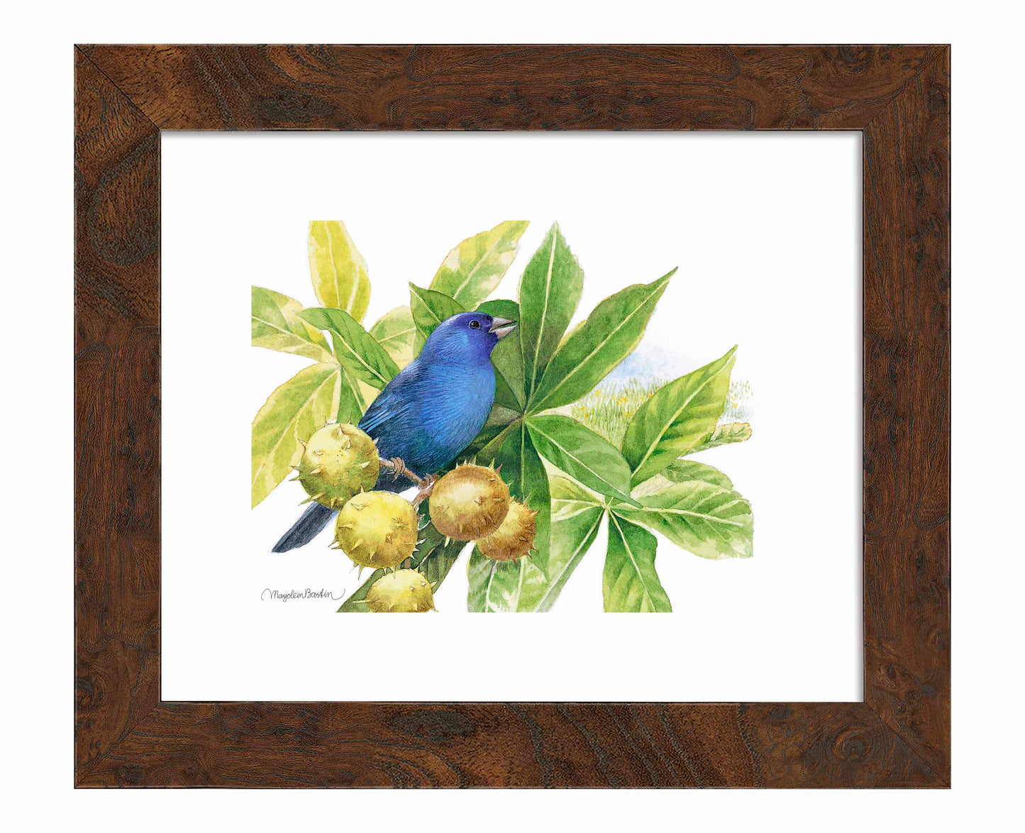 Brilliant Blue - Art Prints