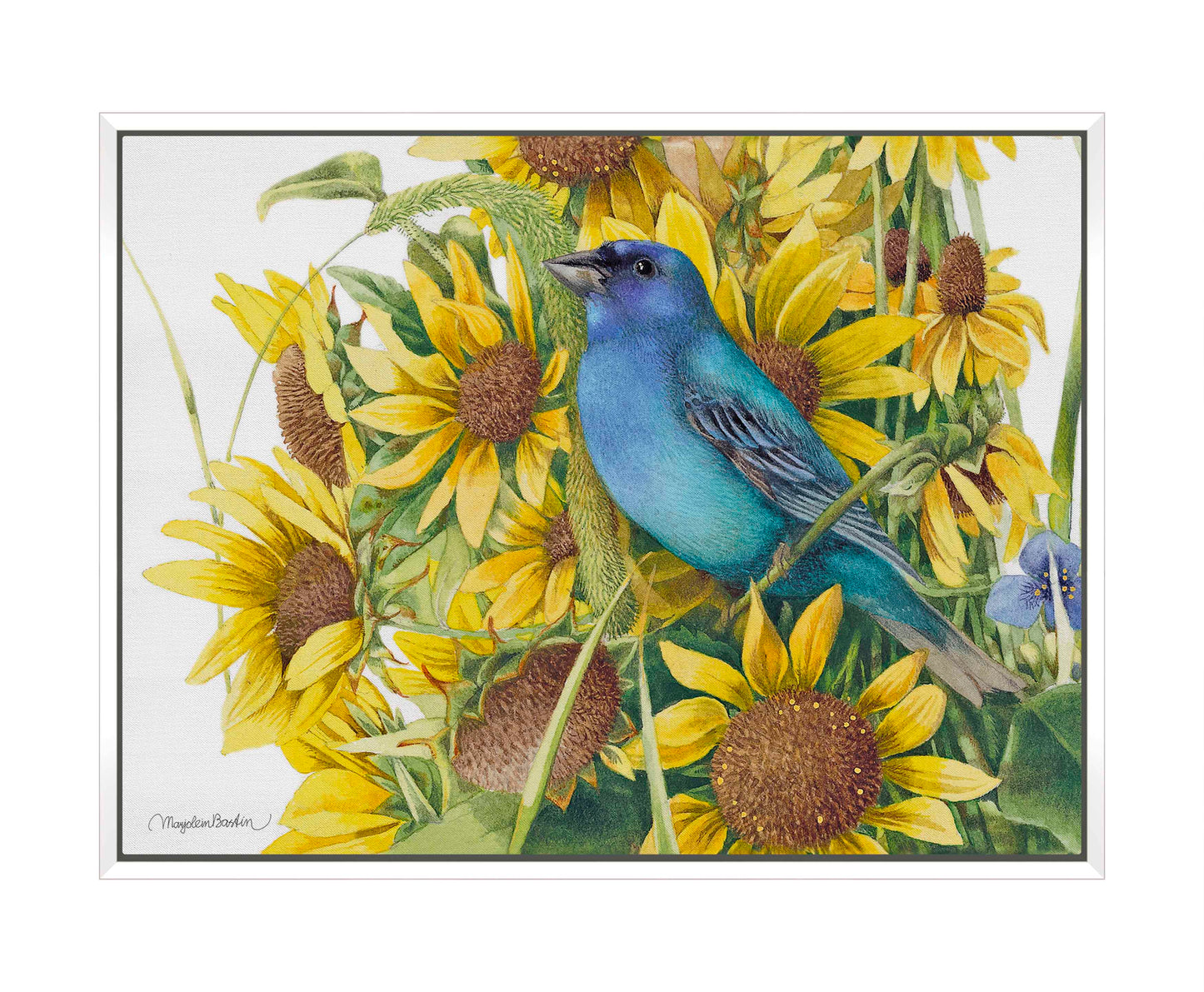 Indigo Bunting - Gallery Wrapped Canvas