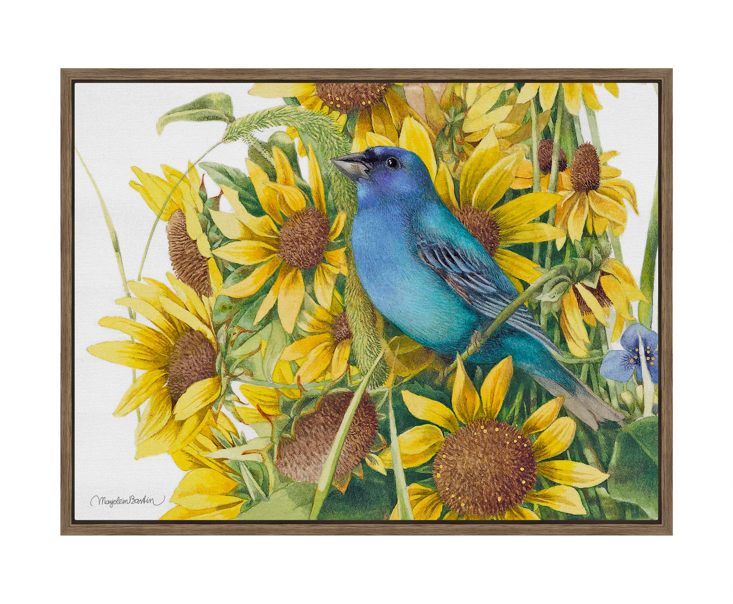 Indigo Bunting - Gallery Wrapped Canvas