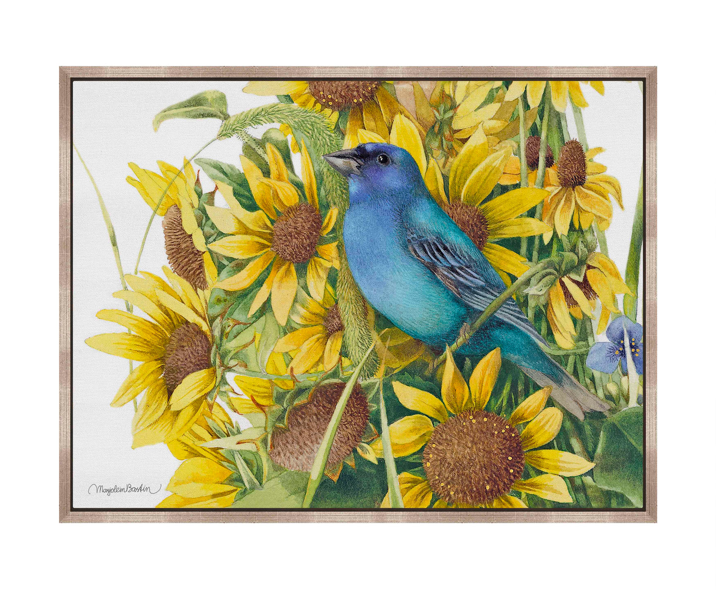 Indigo Bunting - Gallery Wrapped Canvas