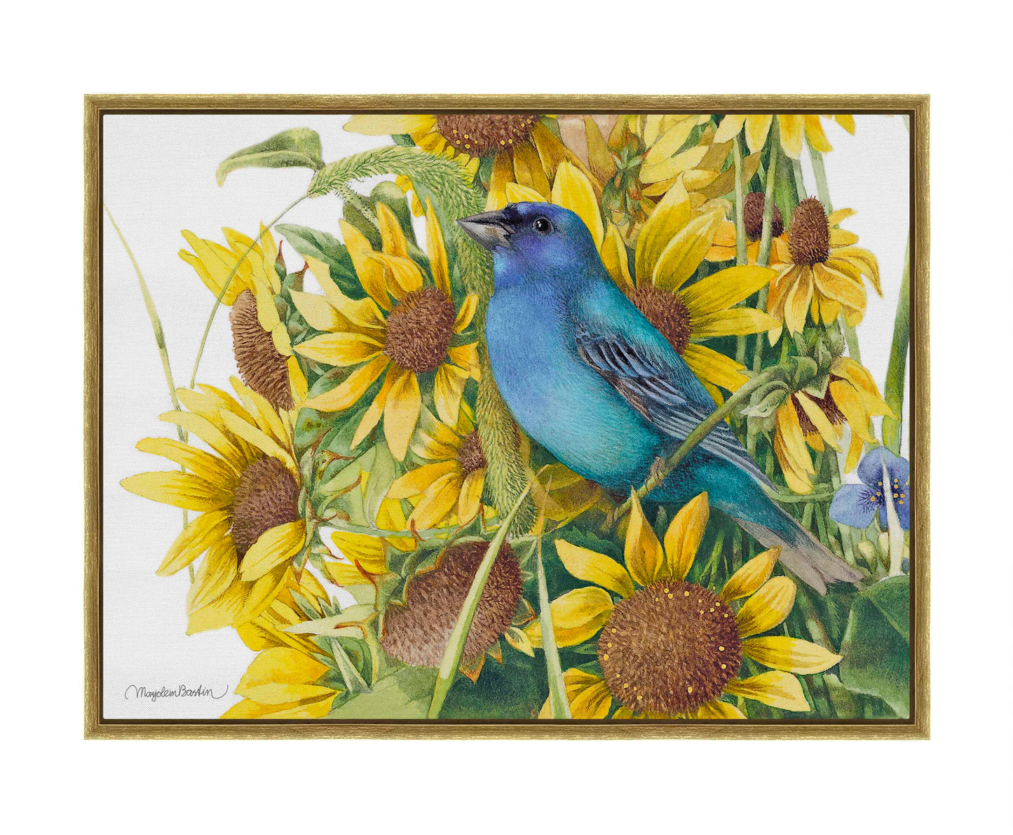 Indigo Bunting - Gallery Wrapped Canvas