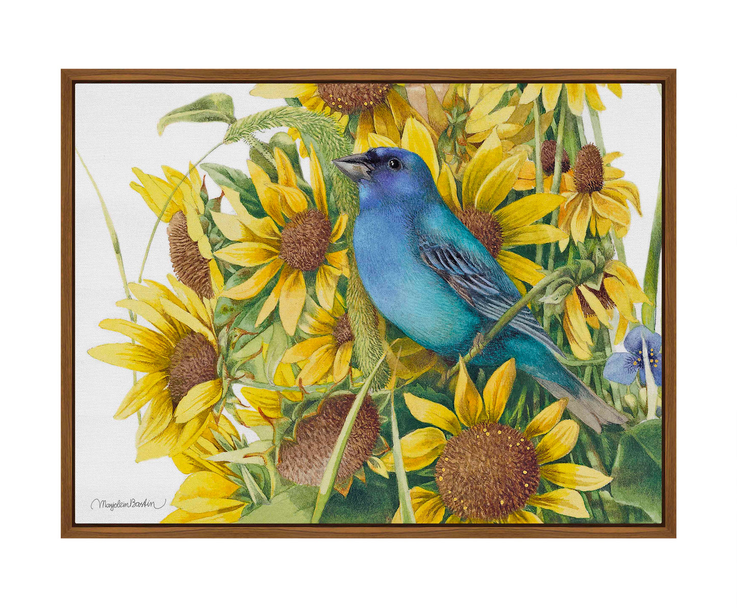 Indigo Bunting - Gallery Wrapped Canvas