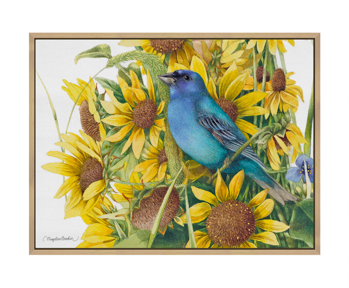 Indigo Bunting - Gallery Wrapped Canvas