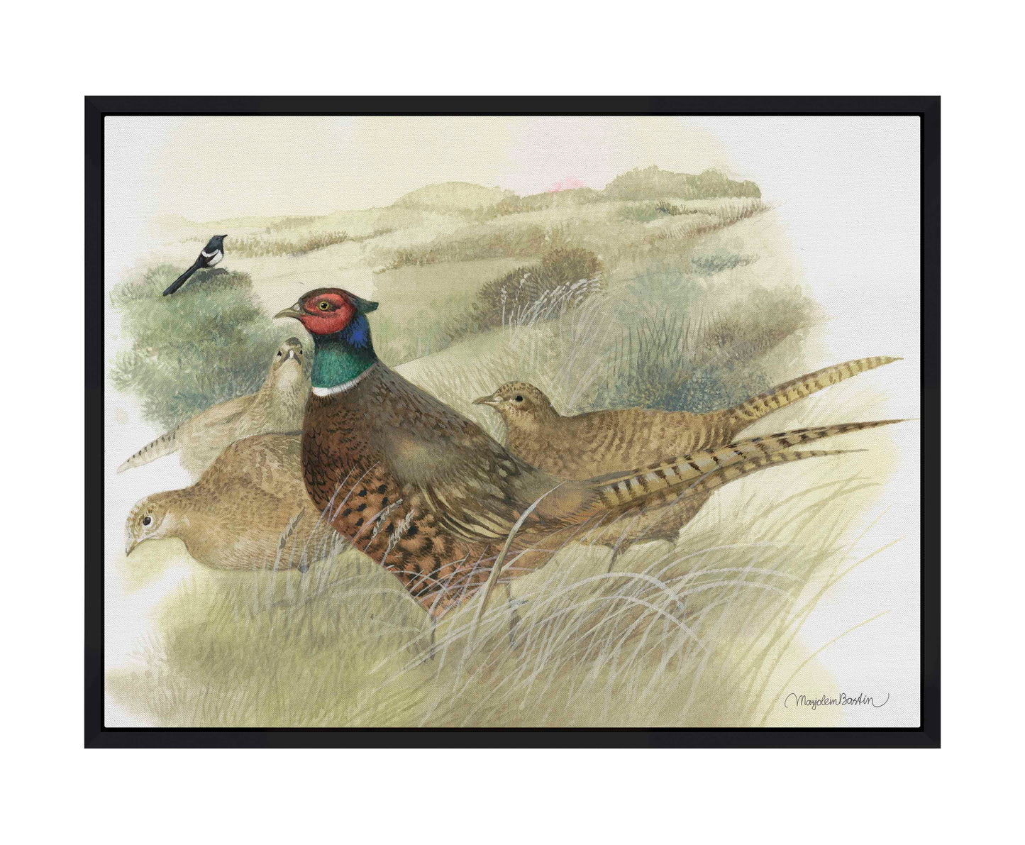 Pheasants on Ameland - Gallery Wrapped Canvas