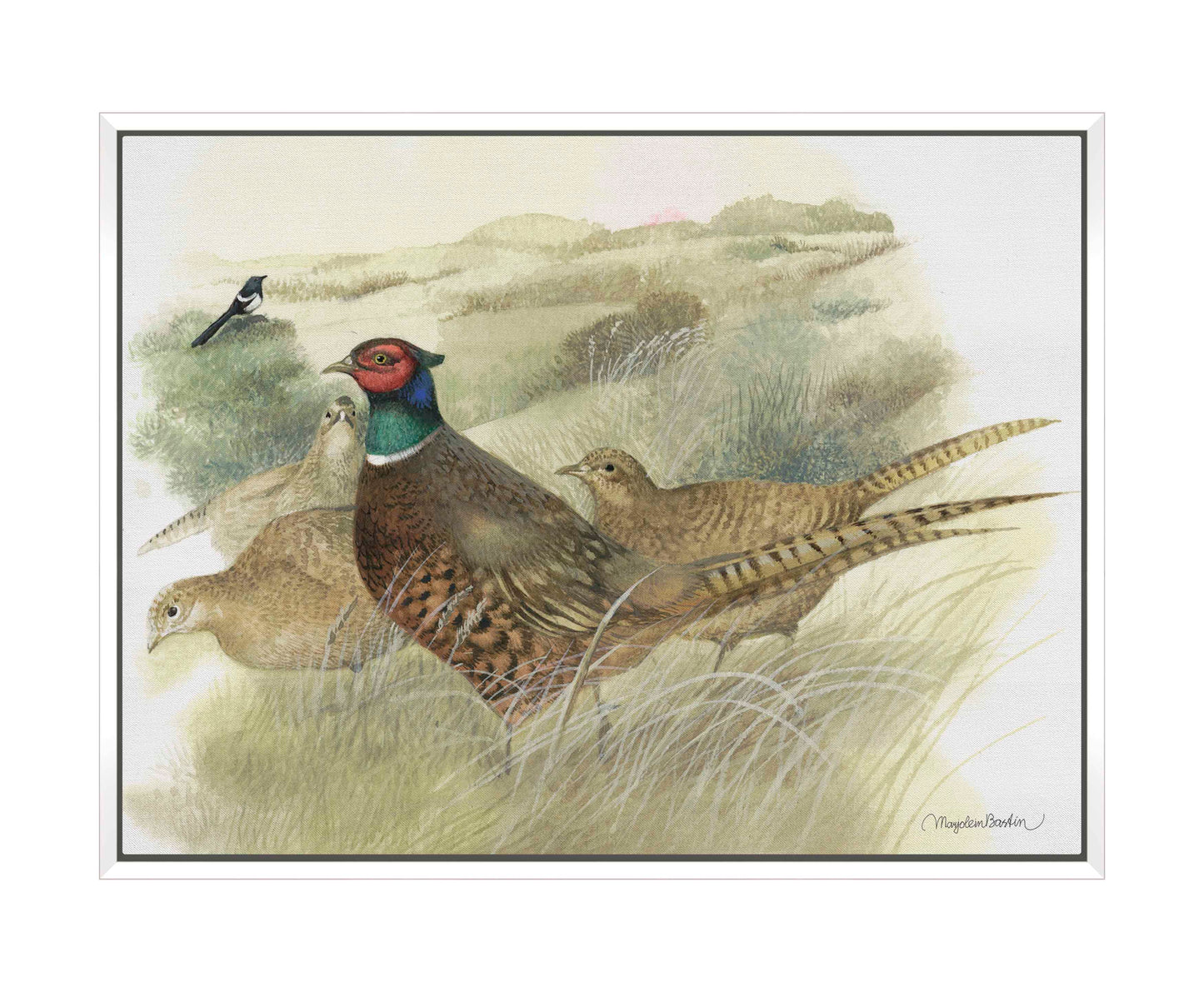 Pheasants on Ameland - Gallery Wrapped Canvas